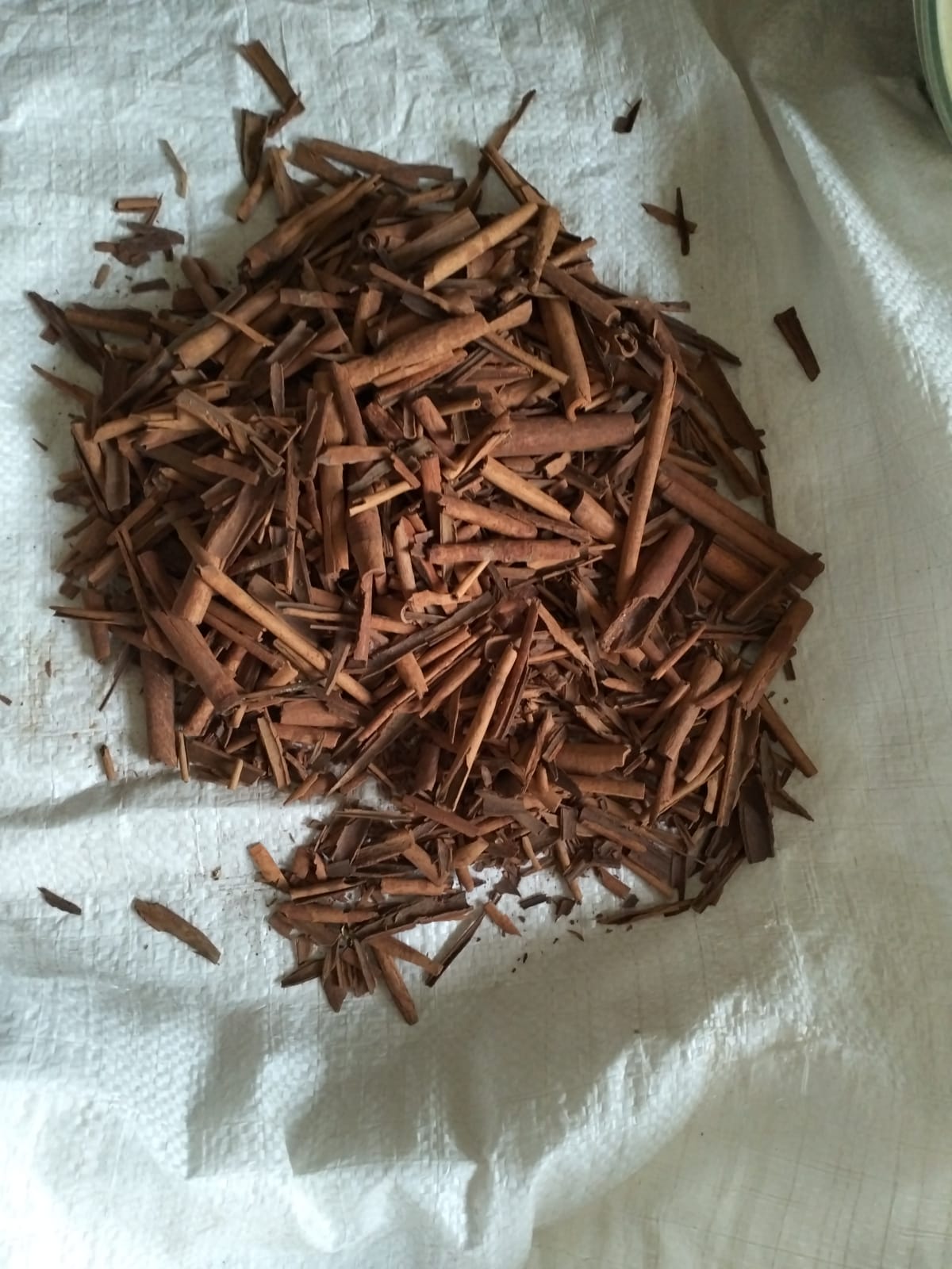 Close-up of a sample of dried spice material